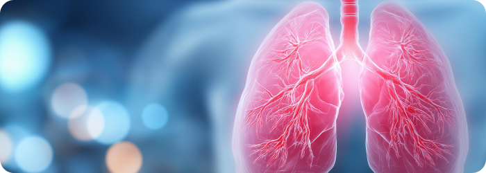 Advancing Pulmonary Hypertension Research with Controlled Hypoxic Environments