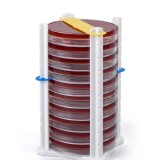 weißer 10 Platten-Patrischalenhalter
