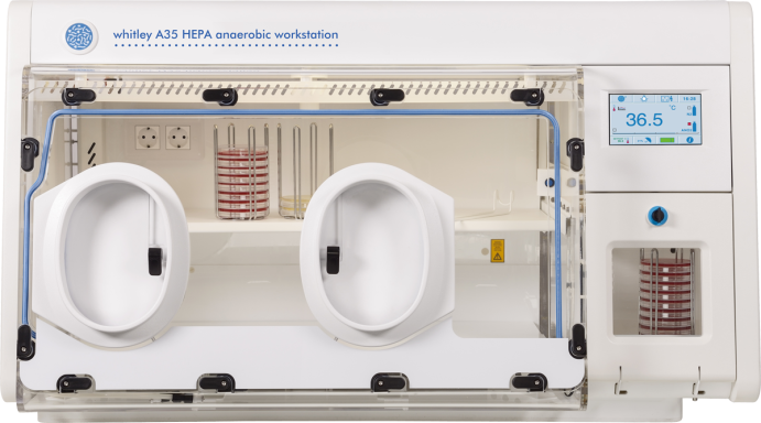 Whitley A35 HEPA Arbeitsstation