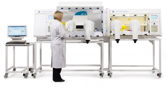 DWS to Host 1st Hypoxia Symposium: The Tumour Microenvironment