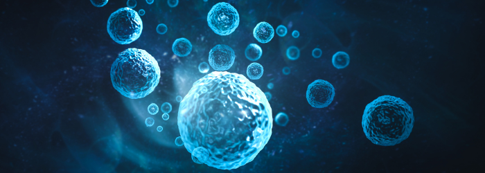 The importance of replicating in vivo conditions
