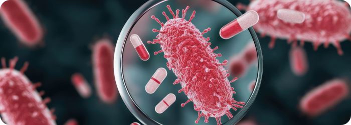 Wie entwickeln anaerobe Bakterien Antibiotikaresistenzen? 