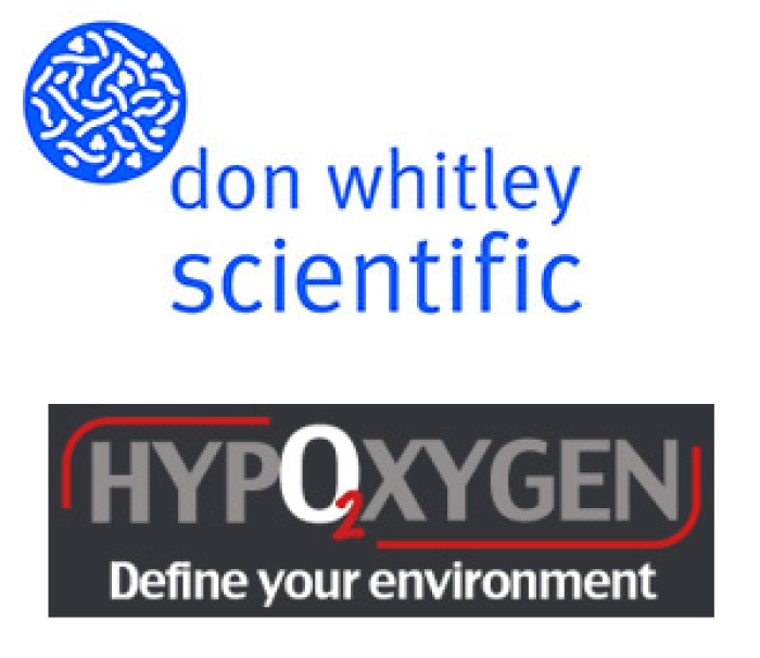Hypoxia and the Hallmarks of Cancer: Angiogenesis and Metastasis