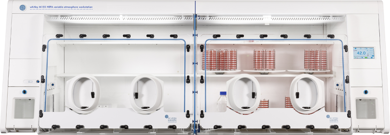 Whitley M155 HEPA Arbeitsstation 