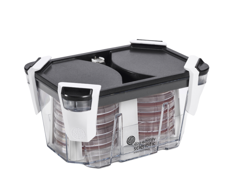 Whitley Incubationbox