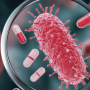 How Do Anaerobic Bacteria Develop Antibiotic Resistance?