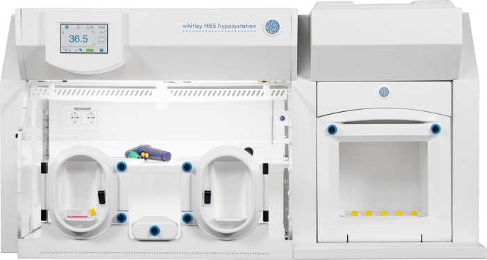 Whitley H85 Hypoxystation Bild