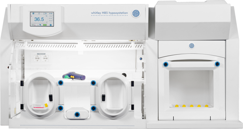 Whitley H85 Hypoxystation
