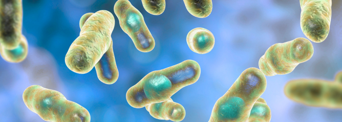 Ein tieferes Verständnis der Rolle der 7a-Dehydroxylierung bei der Resistenz gegen Clostridioides difficile