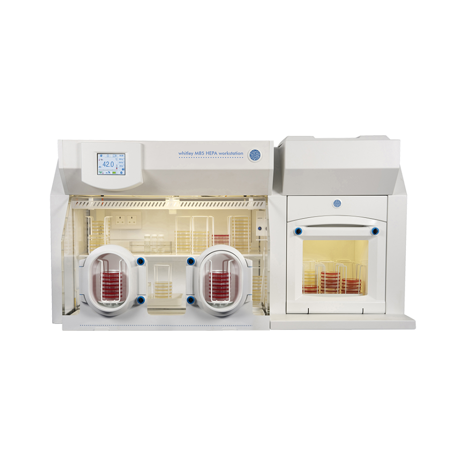 Whitley M85 HEPA Workstation
