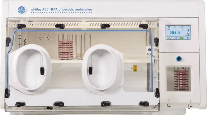 Whitley A35 HEPA Arbeitsstation
