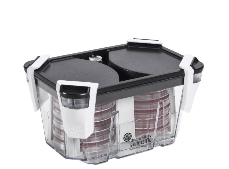 Whitley Incubationbox