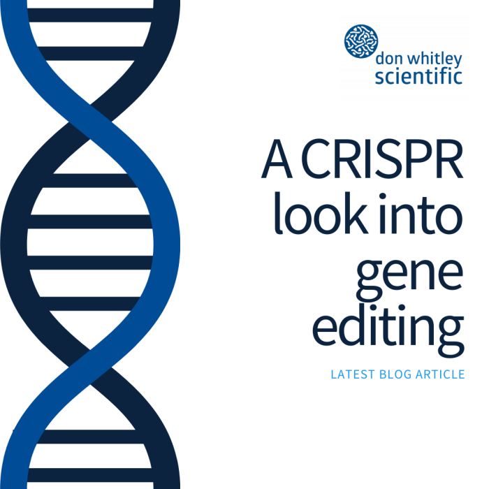 A CRISPR look into gene editing