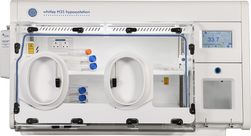 Whitley H35 Hypoxystation