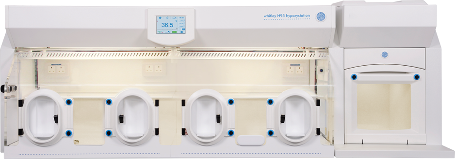 Whitley H95 Hypoxystation