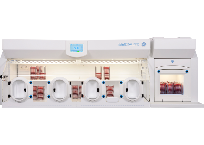 Introducing the Whitley H95 Hypoxystation