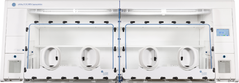 Whitley H155 HEPA Hypoxystation
