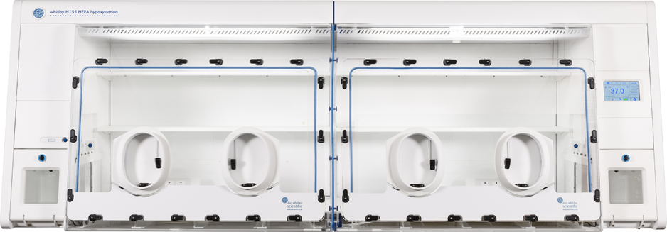 Whitley H155 HEPA Hypoxystation